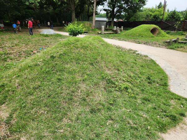 20250608_093101.jpg