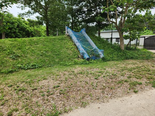 20250608_093108.jpg